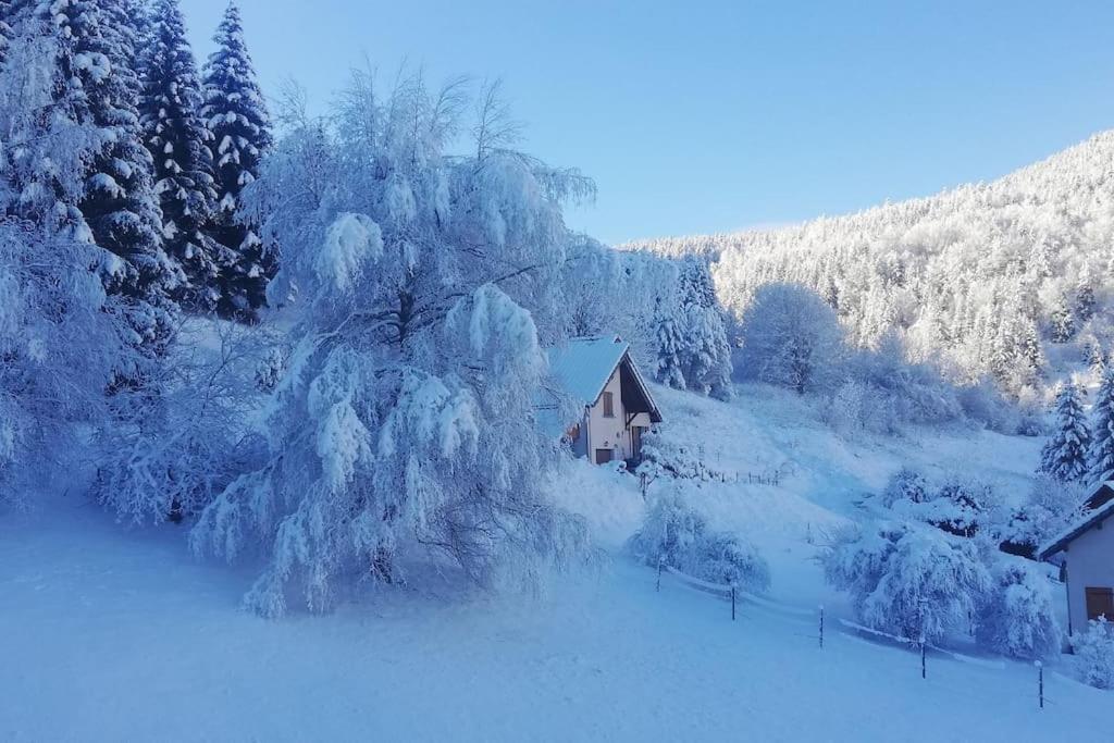Studio Chaleureux A Villard De Lans Eksteriør billede